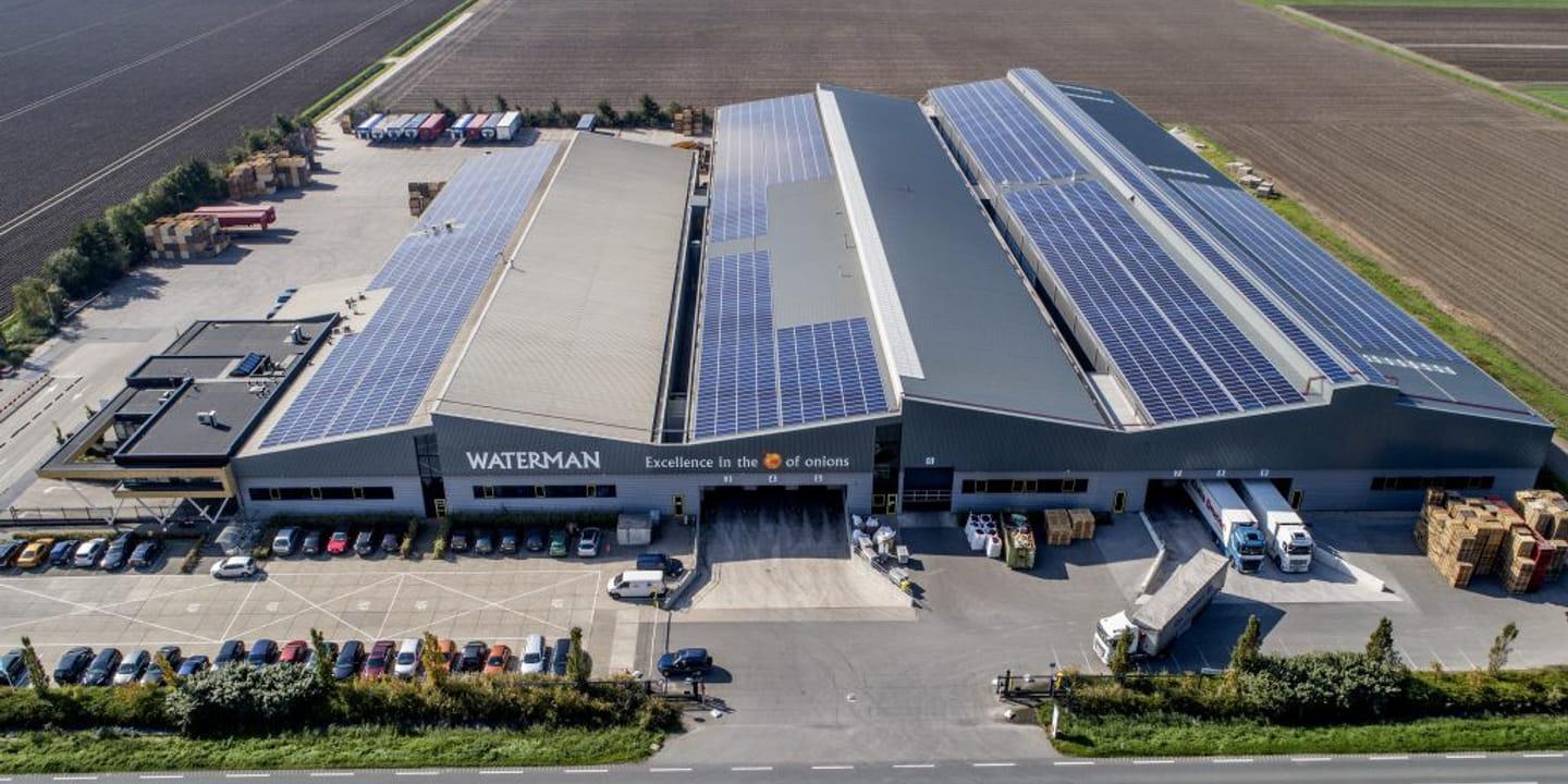 Hoe Waterman Onions haar productie verduurzaamde met industriële warmtepompen