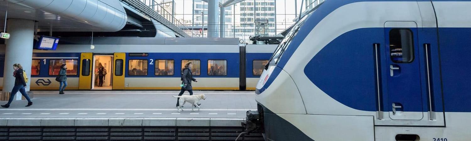 Geef medewerkers een vergoeding voor de 1e klas