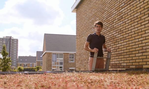 Bertwin legde met zijn buurt 355 m2 groen aan