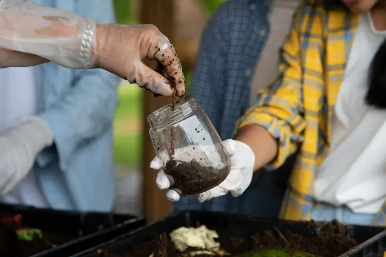 Maak je eigen compost
